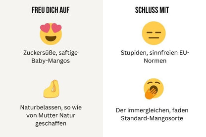 Baby-Mango Mix von Julian Retter-Box 3kg