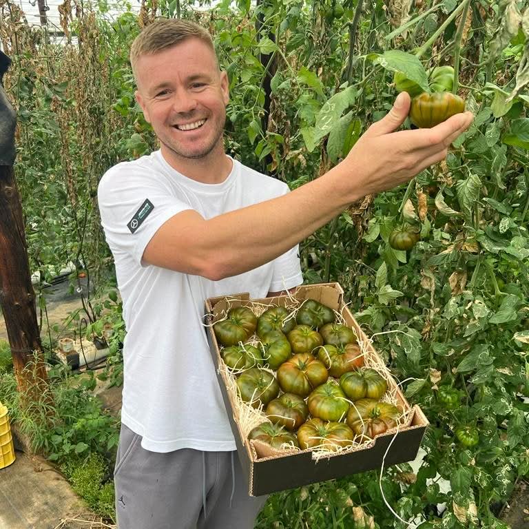 Tomaten Mix bunt von Julian