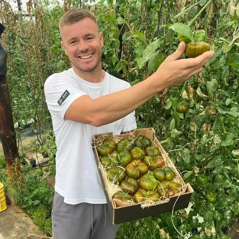 Tomaten "Raff" von Julian