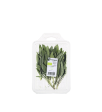 Salbei Bio regional  in der Frischeschale 1 Stk.