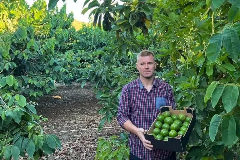 Avocado Salvaje wild von Julian