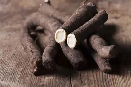 Schwarzwurzeln Bio regional