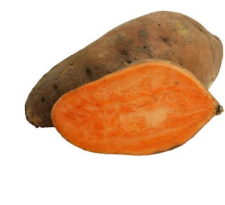 Bio Süsskartoffel orange regional