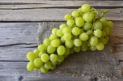 Traube "Vittoria" Bio  Aktionspreis!