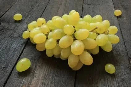 Traube "Sugarone" Bio kernlos grün