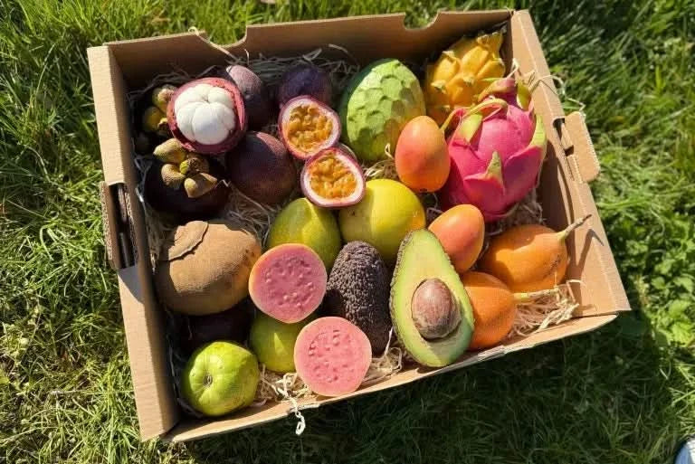 Probierbox "Exotische Früchte"