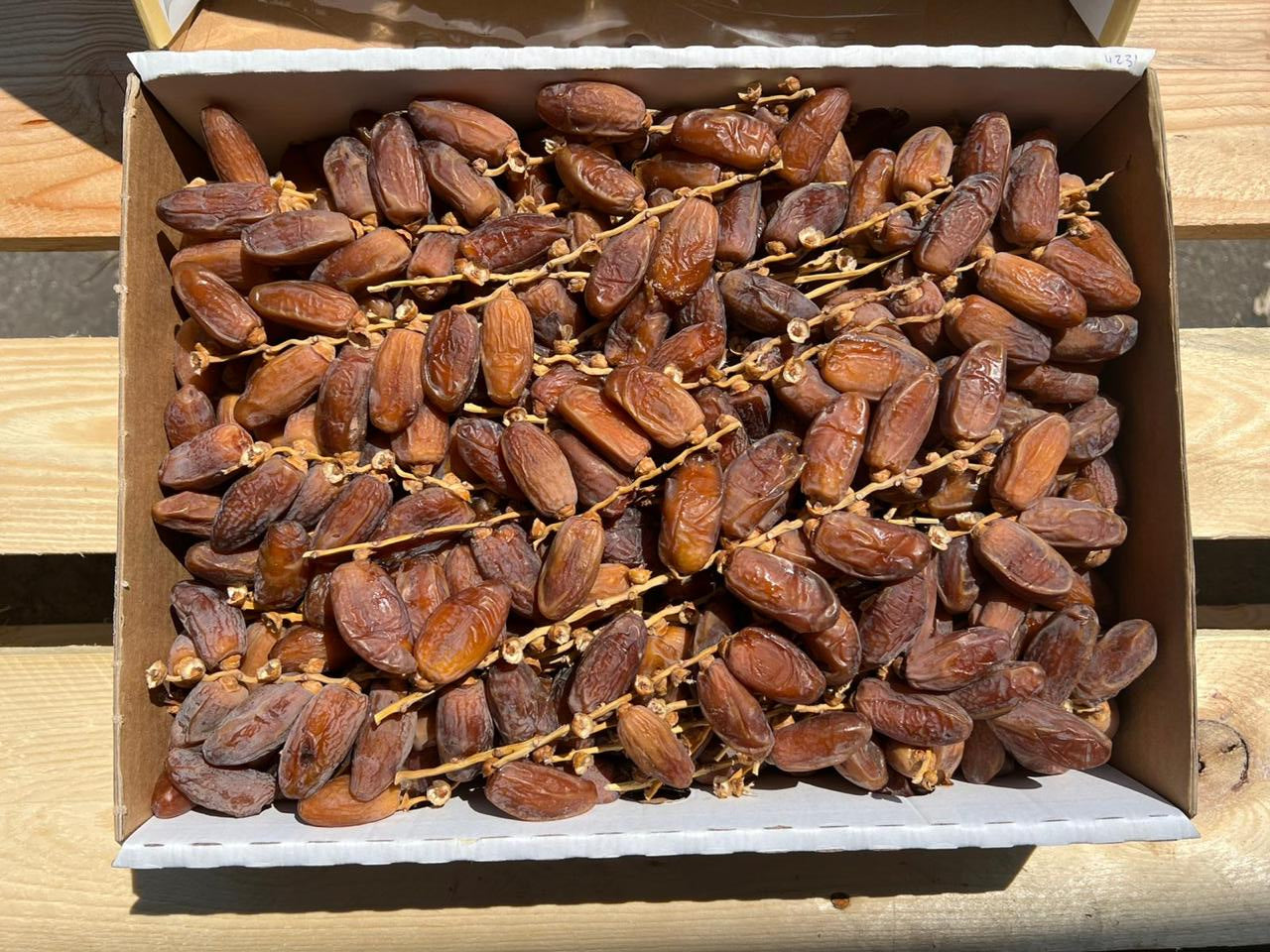 Datteln Deglet Nour