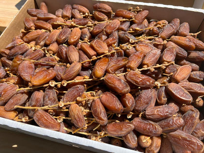 Datteln Deglet Nour