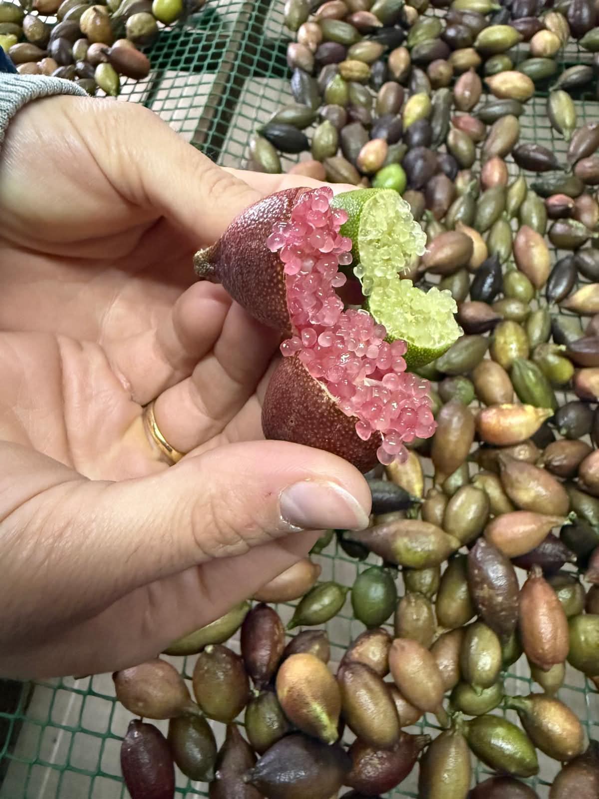 Kaviarlimetten 100g