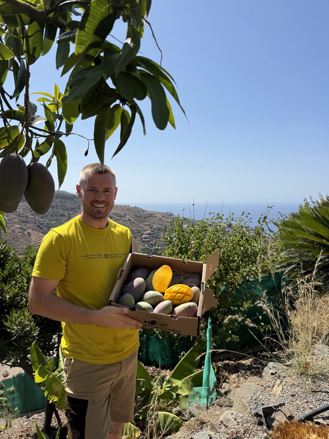 Mango Osteen von Julian