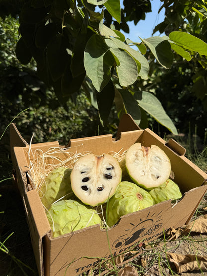 Cherimoya Bio von Julian Sonderaktion %