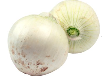 Zwiebel weiß mild Bio aus Italien
