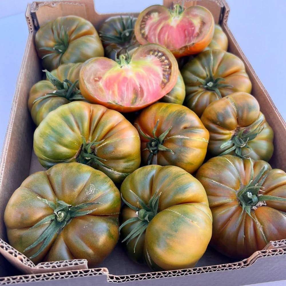 Delikatesstomaten „Adora“ von Julian