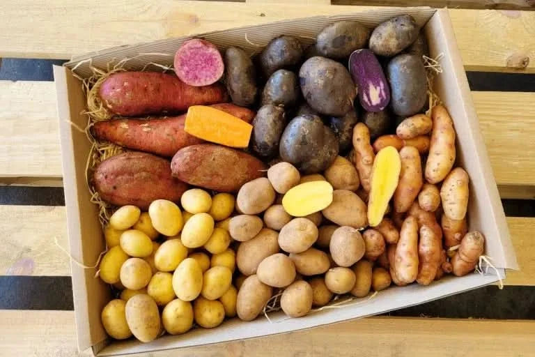 Gourmet-Kartoffel Box Bio regional 5 Kg