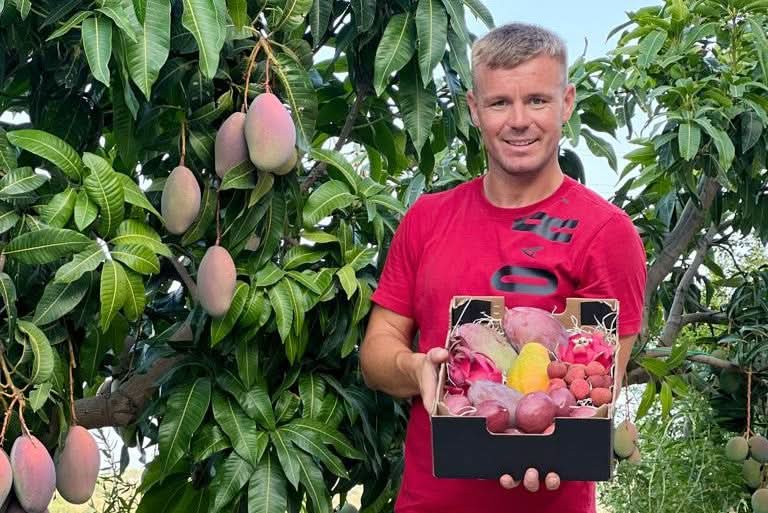 Baby-Mango Osteen & Kent Mix von Julian Sparpreis-Box