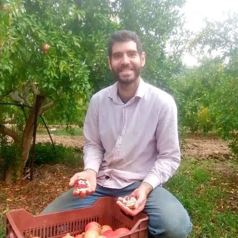 Granatapfel Bio Sweet von Apostolis (Kreta)