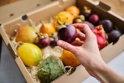 Tropenreise Südamerika Box