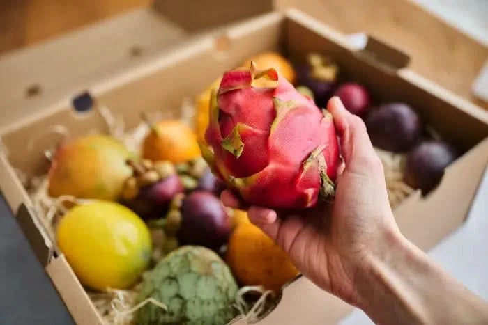 Tropenreise Südamerika Box