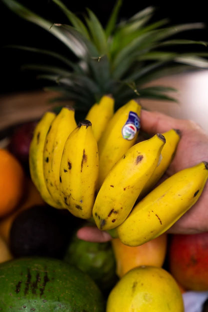 Apfelbananen Bio & Fair Kipepeo