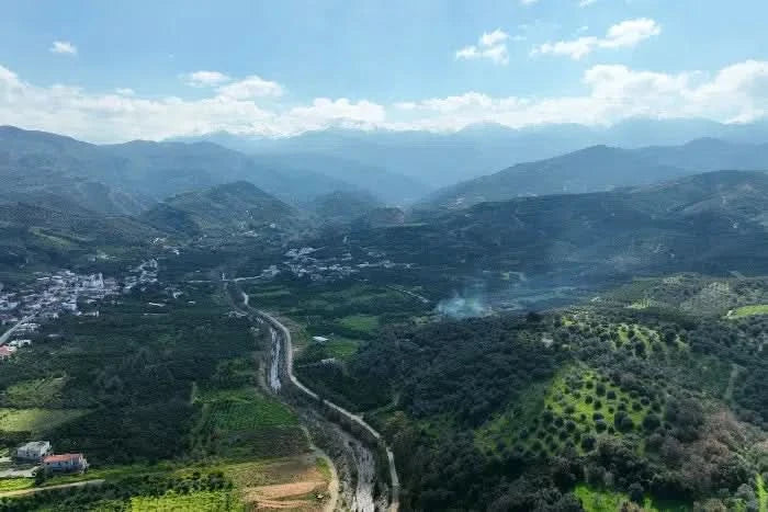 Grapefruit weiss Bio von Apostolis Kreta 4kg Box