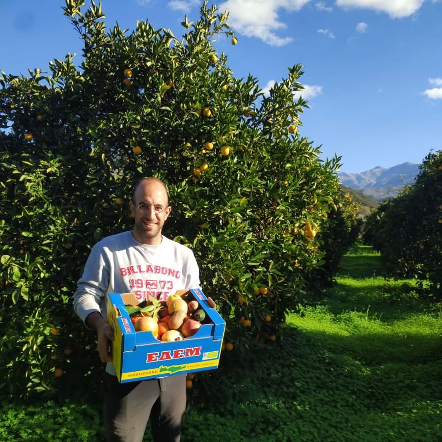 Bio Zitronen „Meyer“ orange Kreta von Apostolis