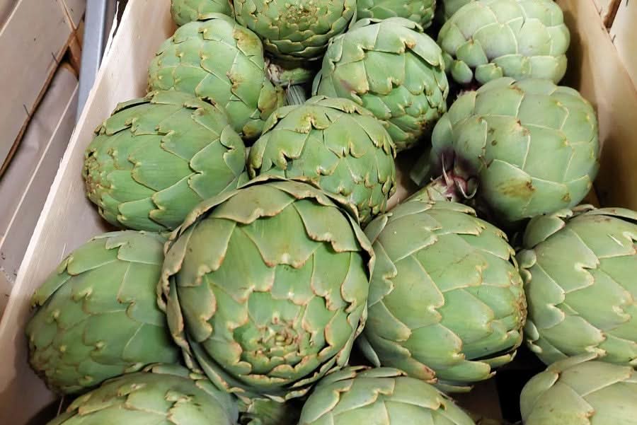 Artischocken „Romanesco“ Bio