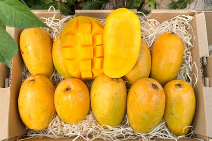 Mango Honig „Ataulfo“ Bio von Joe Roman