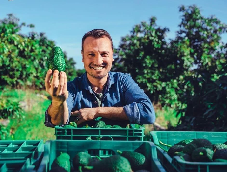 Avocado Fuerte Bio von Andrea Sizilien