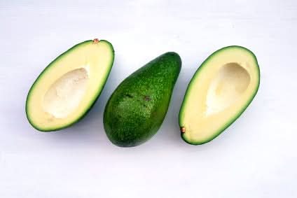 Avocadorarität Bravio wild 1kg Kennenlernpreis
