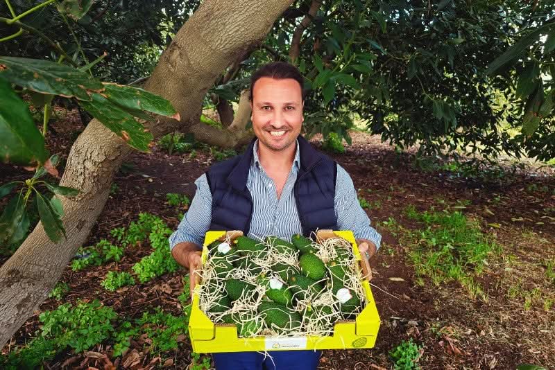 Bauer aus Sizilien mit frischer Kiste voller Bio-Avocado Hass – avocado hass kaufen sizilien direkt vom Erzeuger