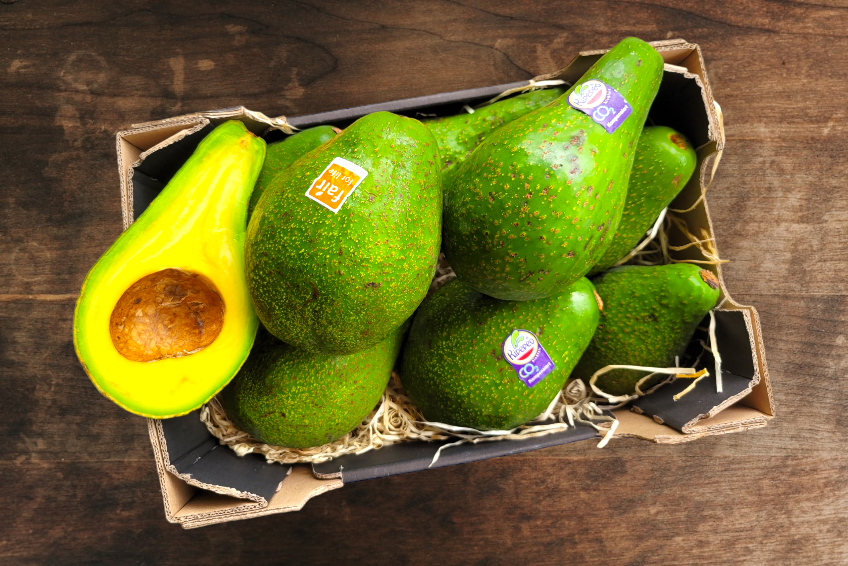 Avocado Jumbo Uganda – Bio Fairtrade Box mit großen reifen Avocados direkt aus nachhaltigem Anbau