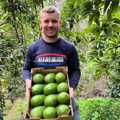 Bauer mit Kiste voller frischer Avocados in Andalusien – avocado kaufen Spanien direkt von der Farm