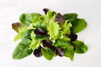 Baby Leaf Asia-Salatmix Bio regional