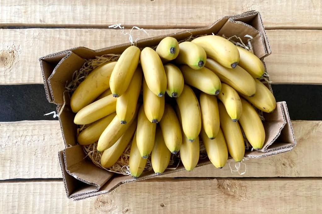 Babybananen "Orito"