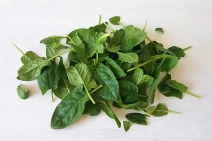 Babyspinat Bio regional Bioland