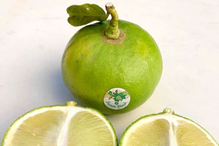 Bergamotten Bio von Familie Bilardi Kalabrien Box 6kg