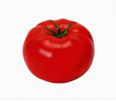 Tomaten Bio original "Berner Rose" regional aus der Reichenau