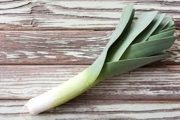 Lauch neue Ernte Bio regional