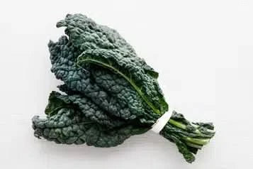 Bio Schwarzkohl (Cavolo nero) regional