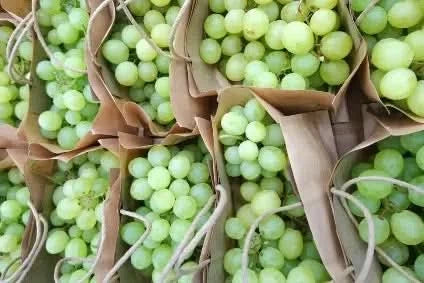 Traube kernlos Sugarone Box Bio