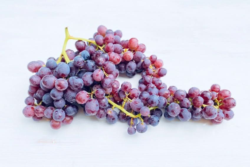 Bio Traube "Red Globe"