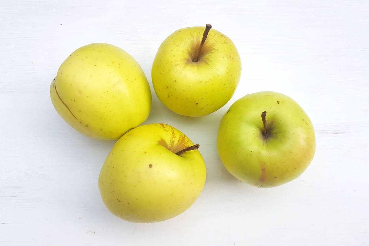Apfel "Golden Delicious" Bio regional