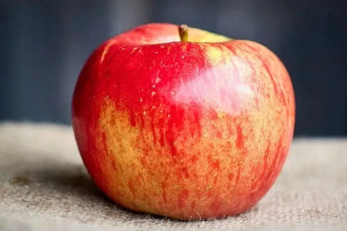 Apfel Topaz Bio regional