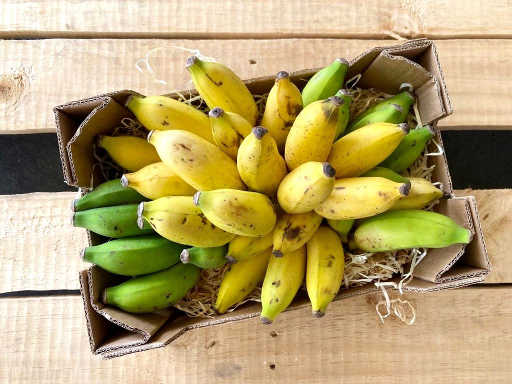 Apfelbananen Bio & Fair Kipepeo