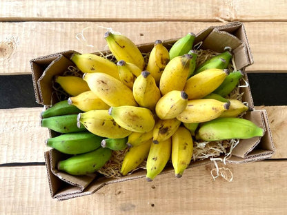 Apfelbananen Bio & Fair Kipepeo