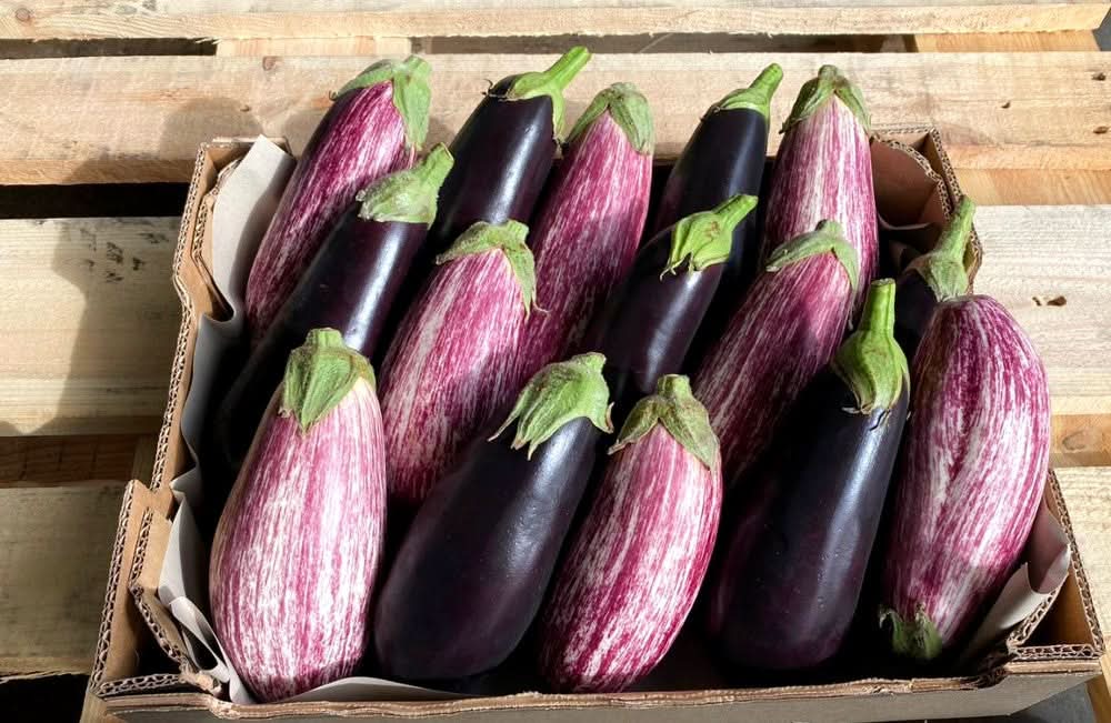 Auberginen Mix Box Bio