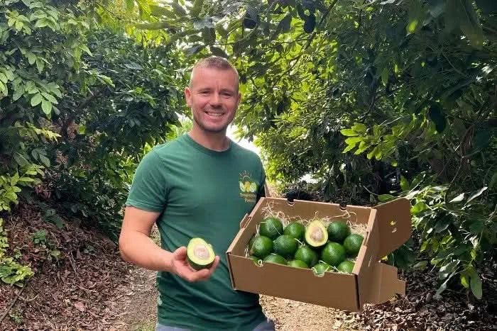 Mango-Avocado Bio Box Aktionspreis % 4kg