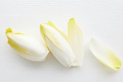 Bio Chicoree regional vom Obergrashof