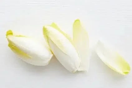 Chicoree Bio aus der Reichenau