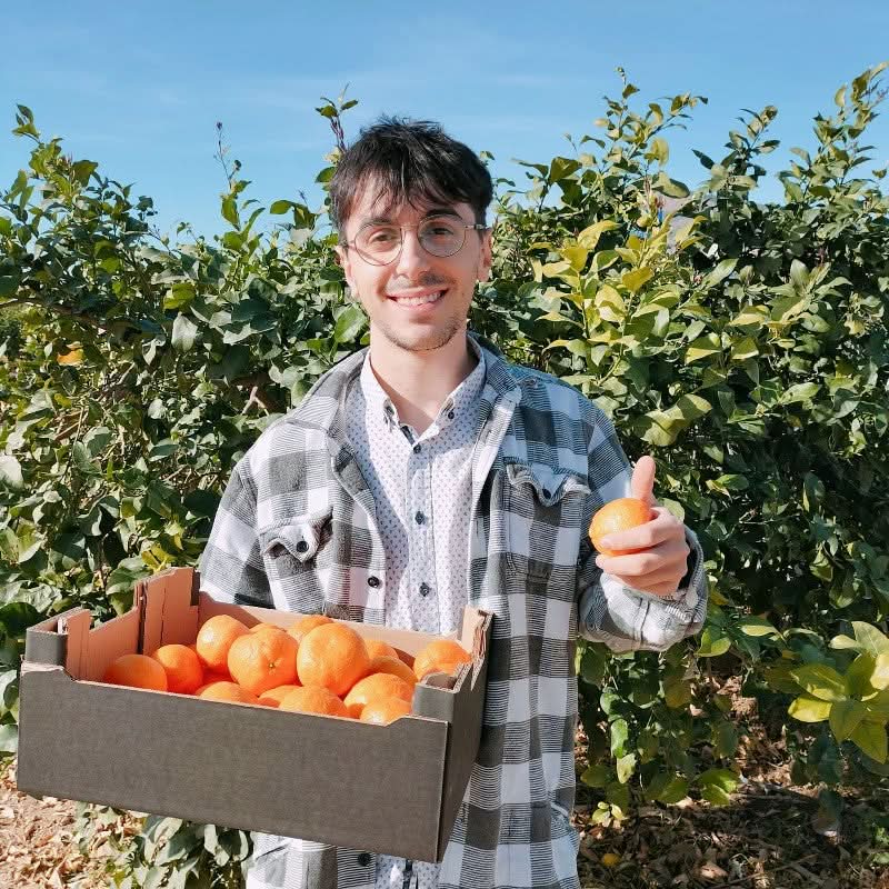 Bio Edel Clementinen "Golden Nugget" von Adrian Aktionspreis % 1kg